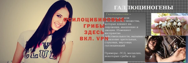 СК Верхний Тагил