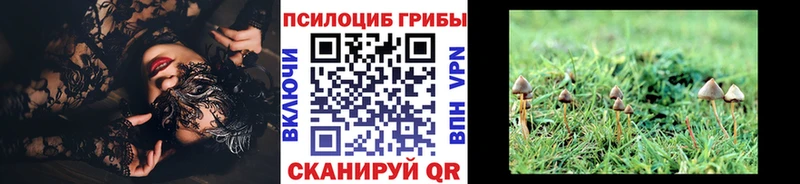 Галлюциногенные грибы Magic Shrooms  Карабаново 